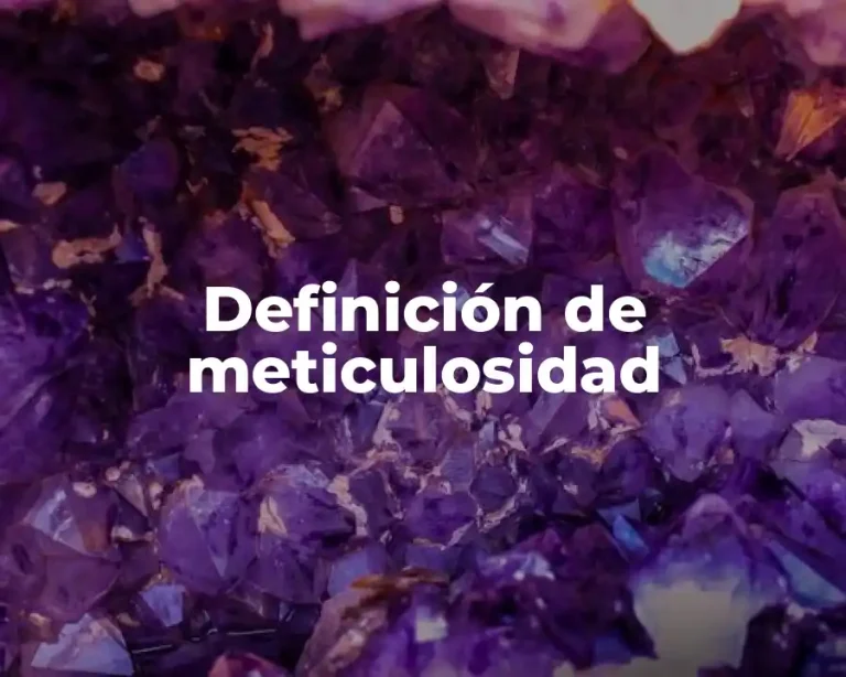 Definición de meticulosidad