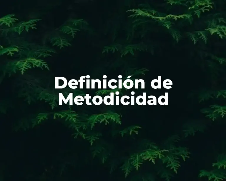 Definición de Metodicidad