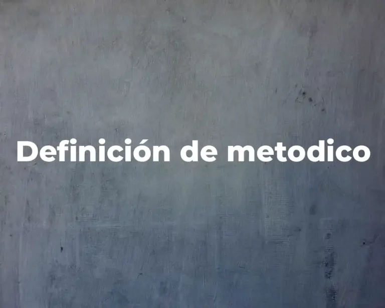 Definición de metodico