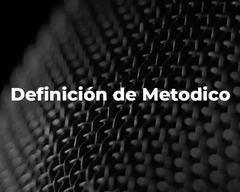 Definición de Metodico
