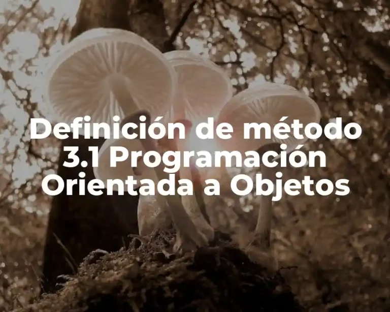 Definición de método 3.1 Programación Orientada a Objetos