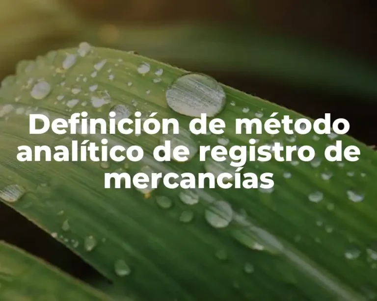 Definición de método analítico de registro de mercancías