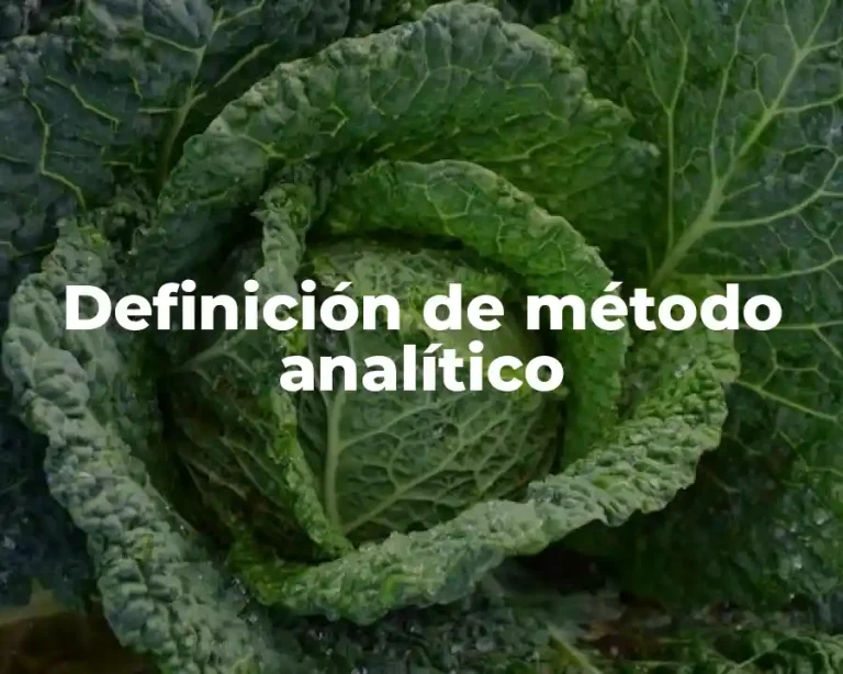 Definición de método analítico