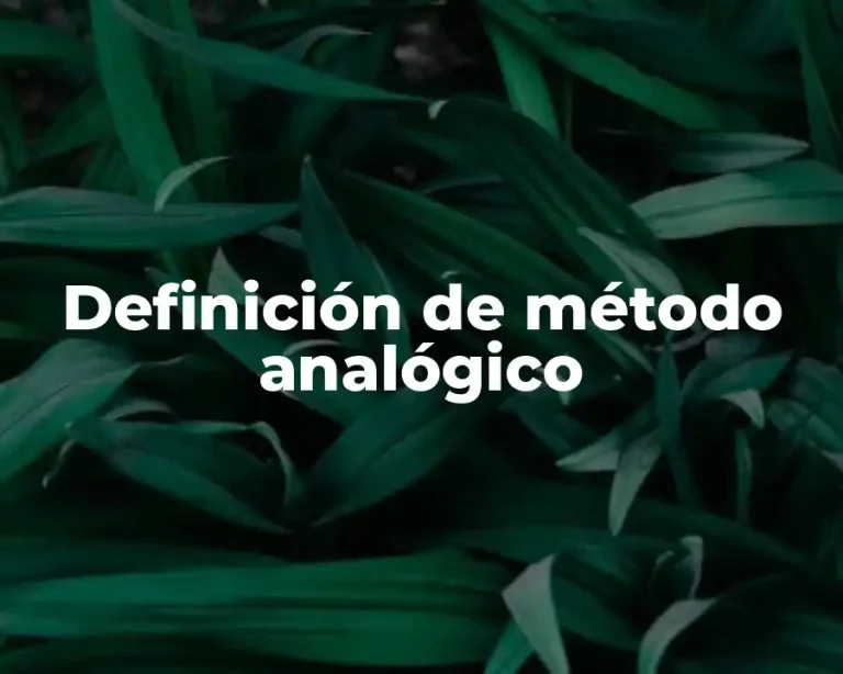 Definición de método analógico