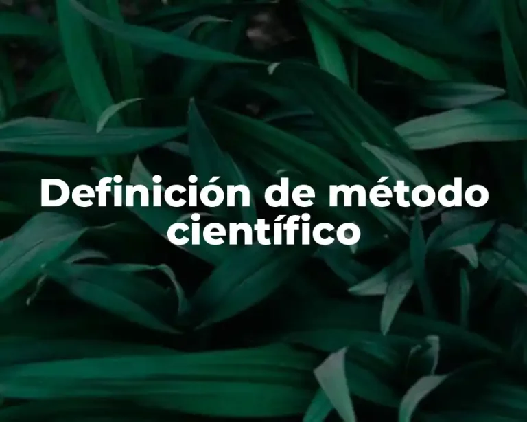 Definición de método científico