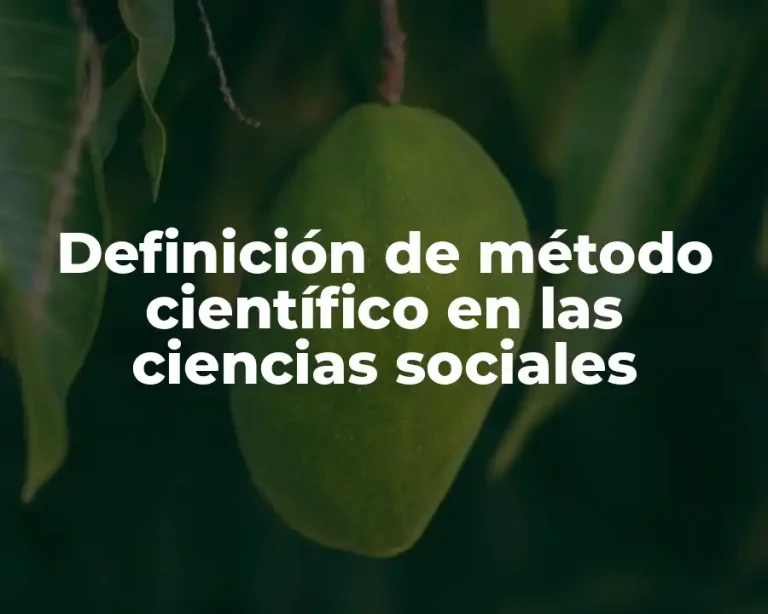 Definición de método científico en las ciencias sociales