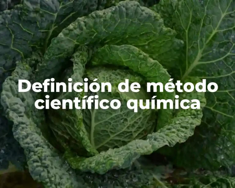 Definición de método científico química