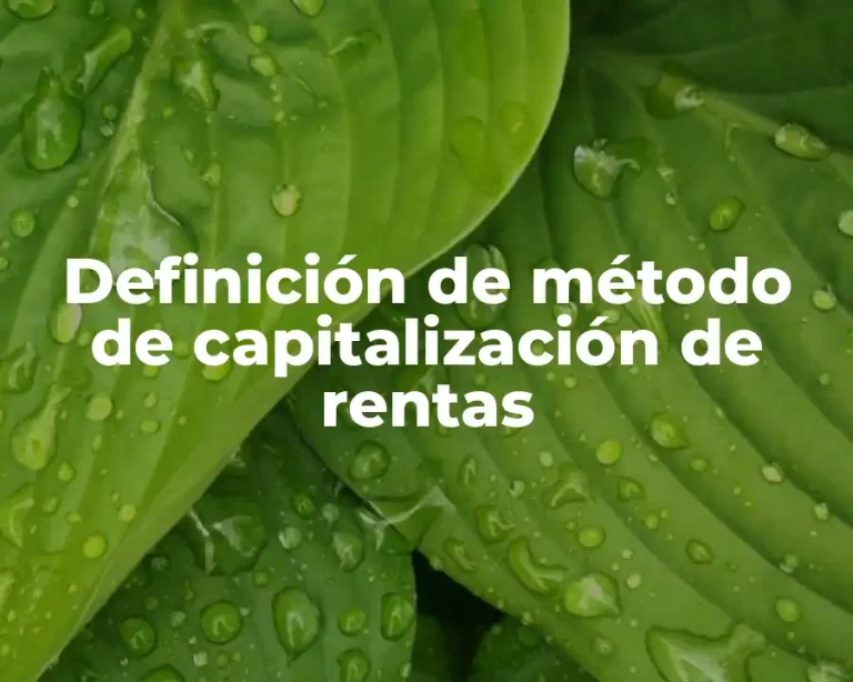 Definición de método de capitalización de rentas