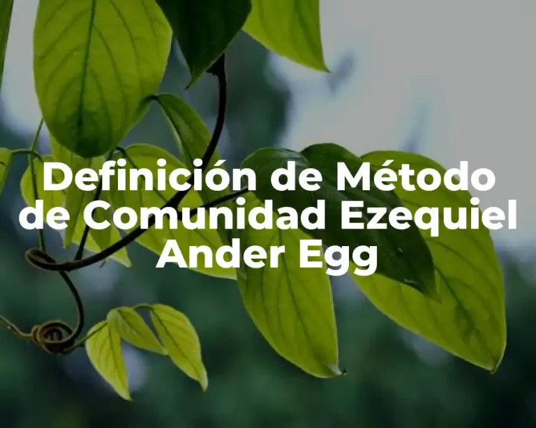 Definición de Método de Comunidad Ezequiel Ander Egg