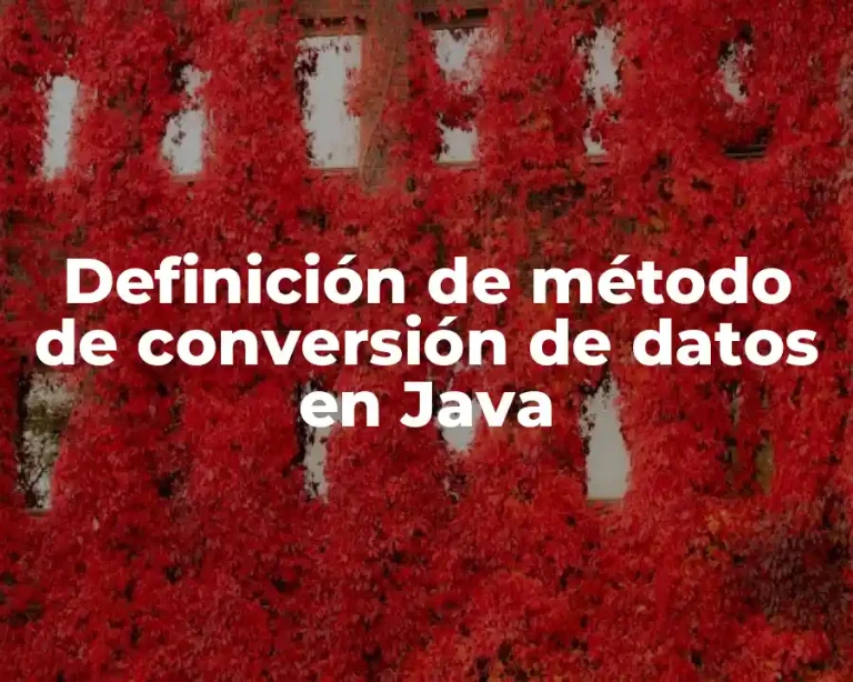 Definición de método de conversión de datos en Java