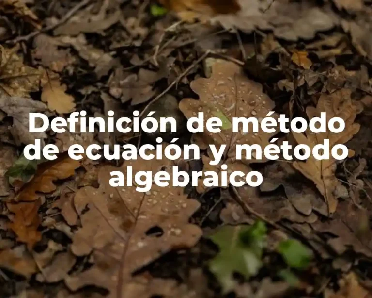 Definición de método de ecuación y método algebraico