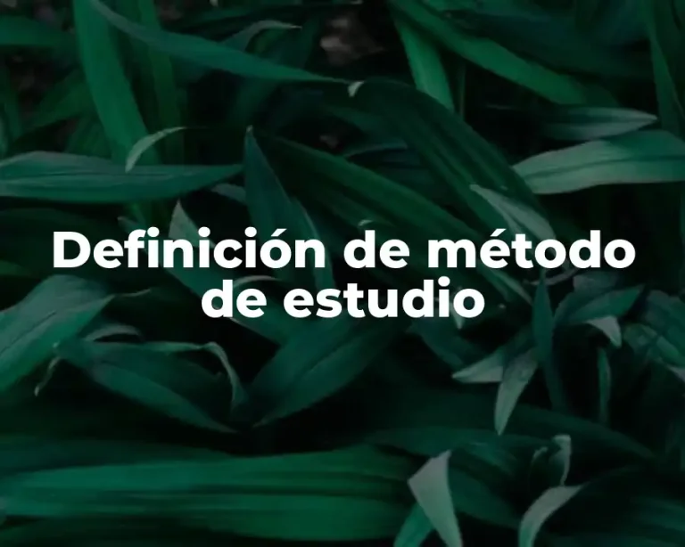 Definición de método de estudio