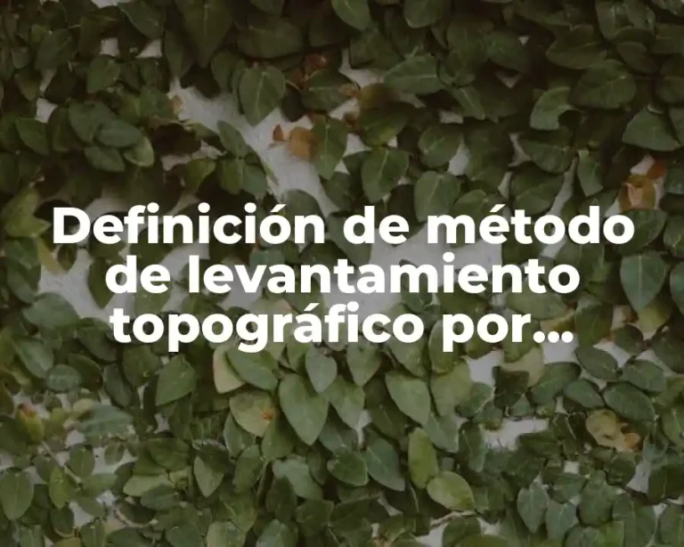 Definición de método de levantamiento topográfico por radiación