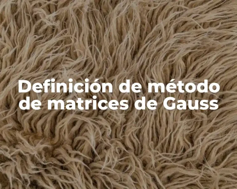 Definición de método de matrices de Gauss