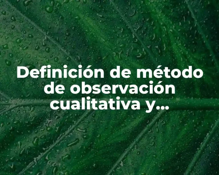 Definición de método de observación cualitativa y cuantitativa