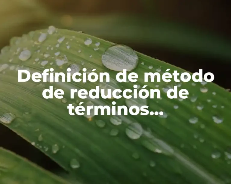 Definición de método de reducción de términos semánticamente relacionados