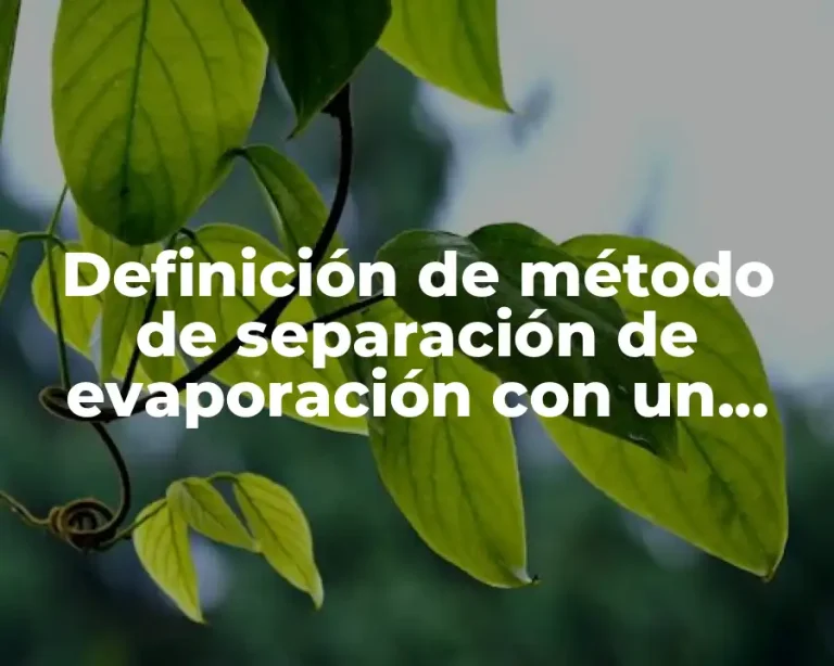 Definición de método de separación de evaporación con un soluto