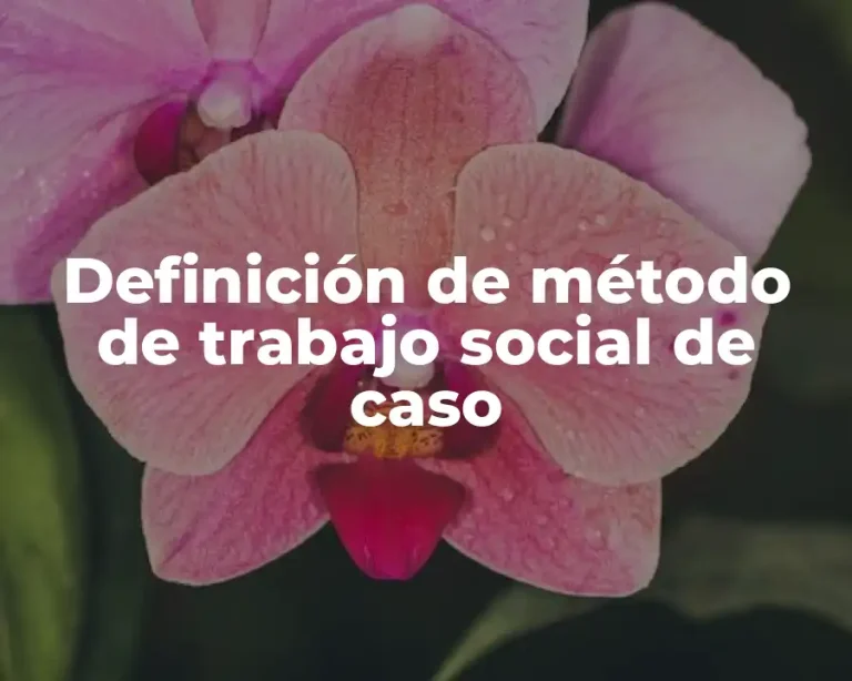 Definición de método de trabajo social de caso