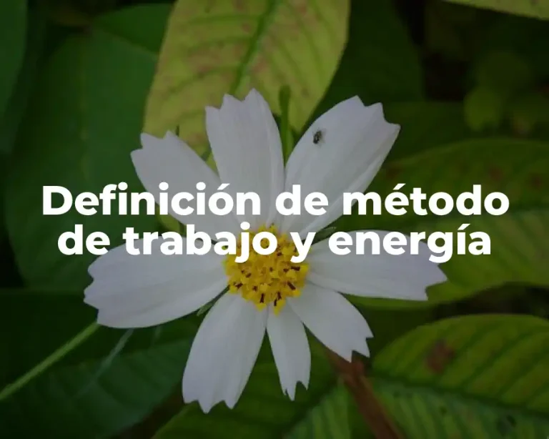 Definición de método de trabajo y energía