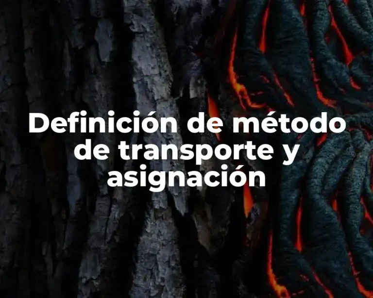 Definición de método de transporte y asignación