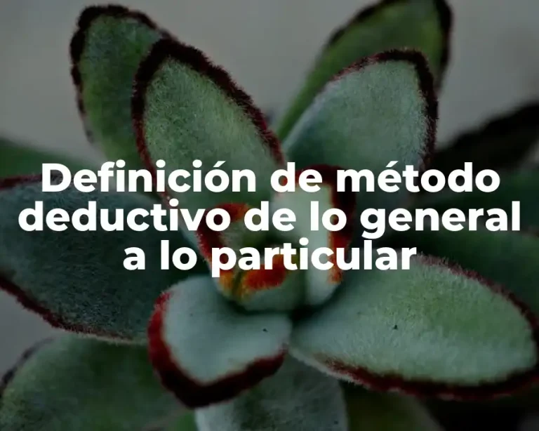Definición de método deductivo de lo general a lo particular