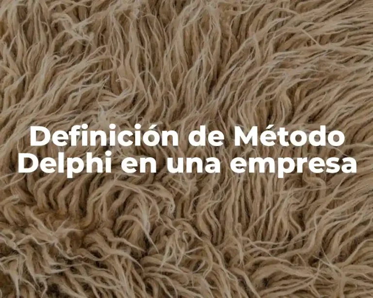Definición de Método Delphi en una empresa