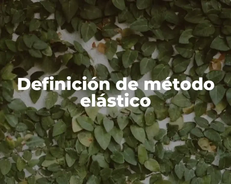 Definición de método elástico