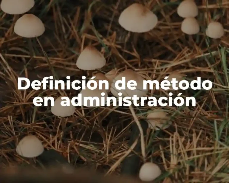 Definición de método en administración