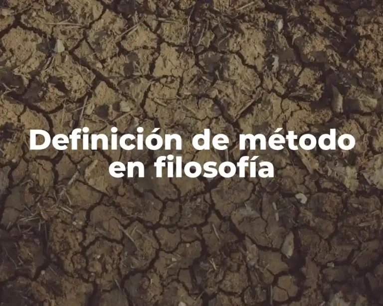 Definición de método en filosofía