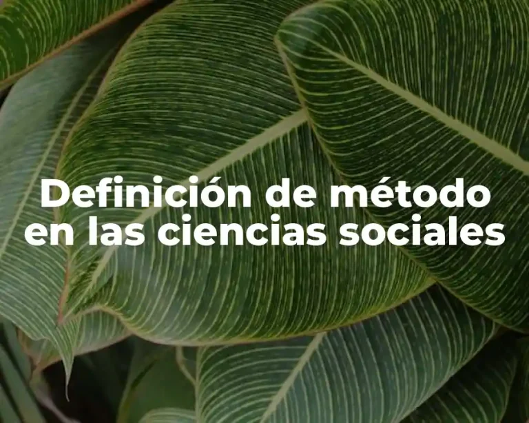 Definición de método en las ciencias sociales