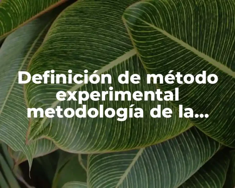Definición de método experimental metodología de la investigación
