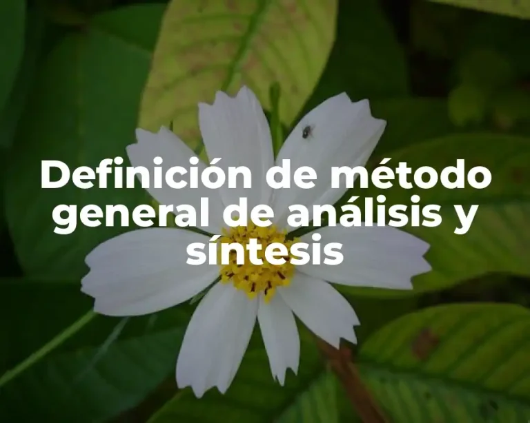Definición de método general de análisis y síntesis