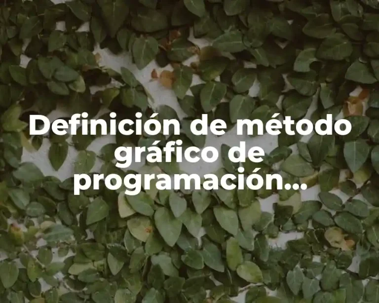 Definición de método gráfico de programación enteramente