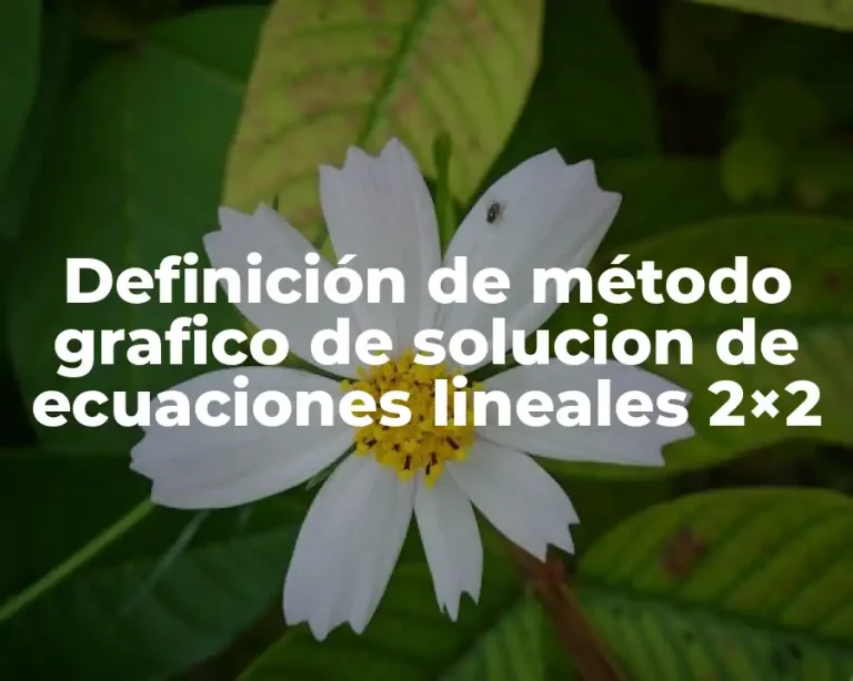 Definición de método grafico de solucion de ecuaciones lineales 2×2