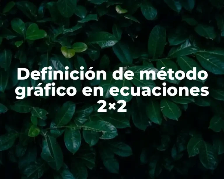 Definición de método gráfico en ecuaciones 2×2