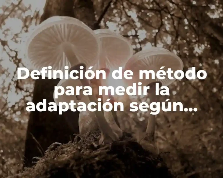 Definición de método para medir la adaptación según factores múltiples