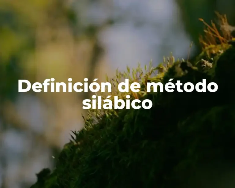 Definición de método silábico
