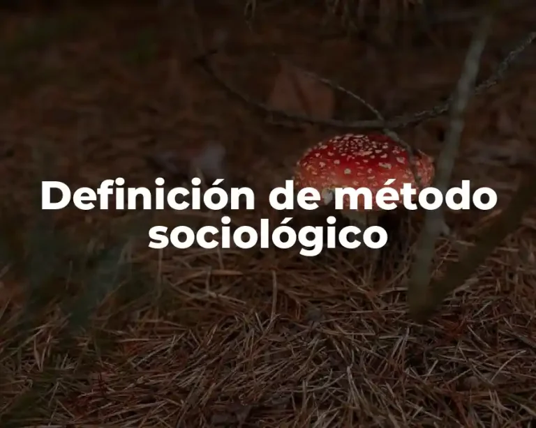 Definición de método sociológico