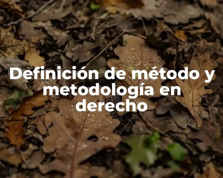 Definición de método y metodología en derecho