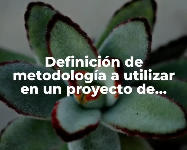 Definición de metodología a utilizar en un proyecto de investigación