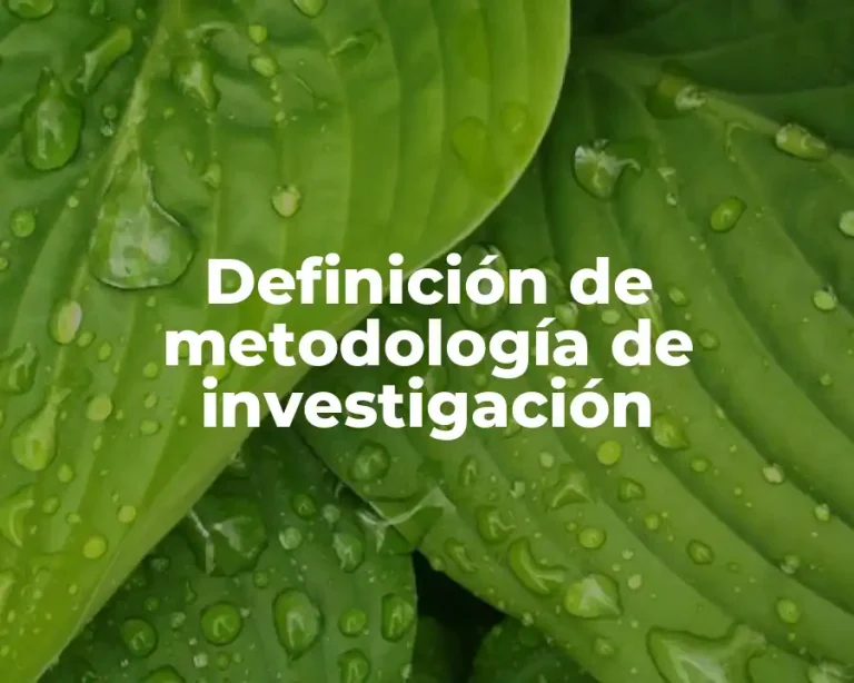 Definición de metodología de investigación