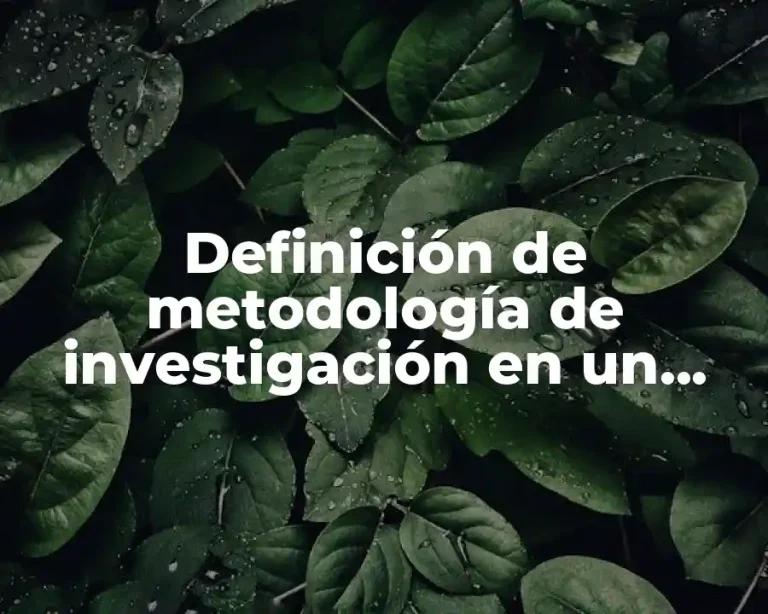Definición de metodología de investigación en un proyecto