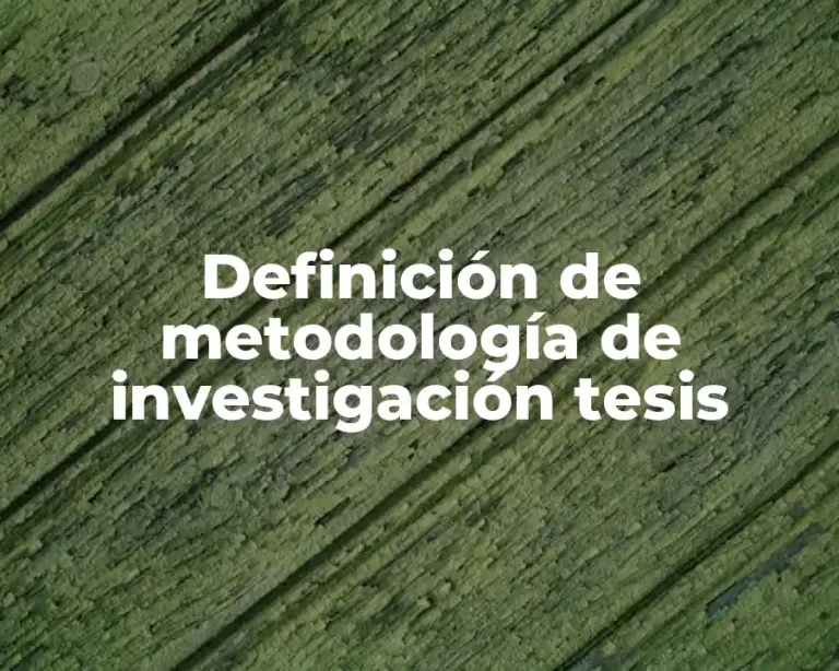 Definición de metodología de investigación tesis