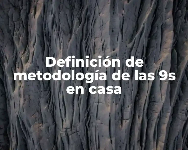 Definición de metodología de las 9s en casa