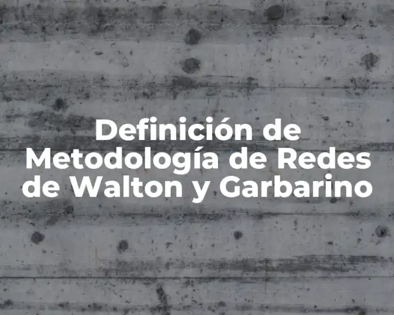 Definición de Metodología de Redes de Walton y Garbarino