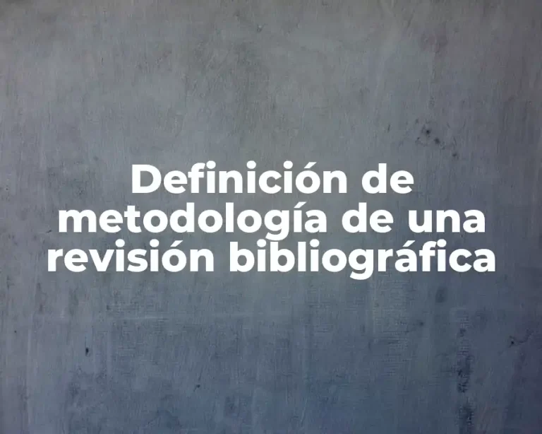 Definición de metodología de una revisión bibliográfica