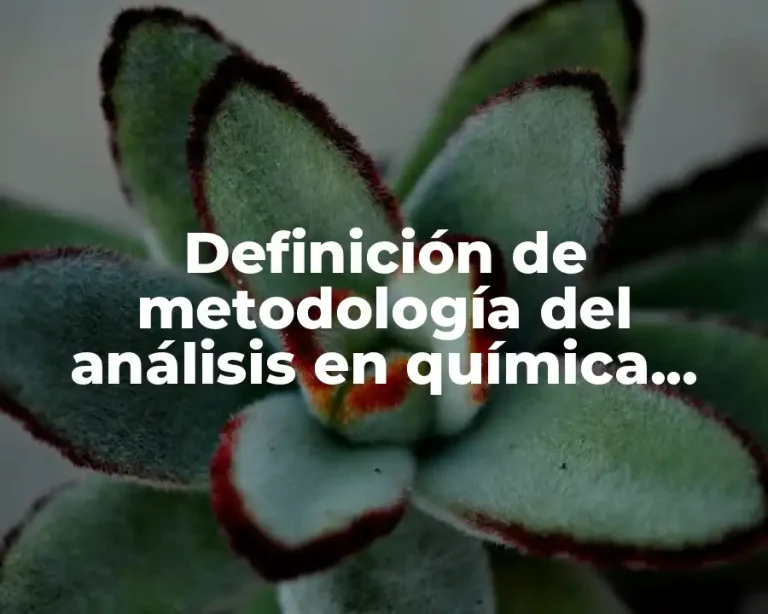 Definición de metodología del análisis en química analítica