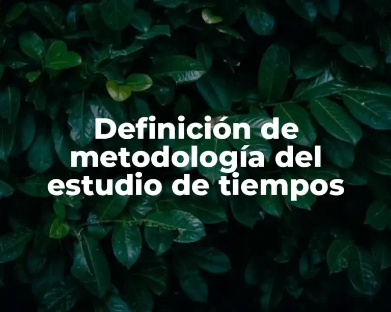 Definición de metodología del estudio de tiempos