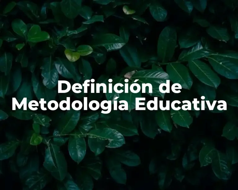 Definición de Metodología Educativa