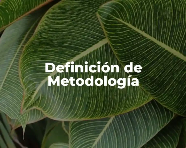 Definición de Metodología